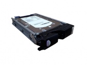 Жесткий Диск EMC Clariion CX-AT05-250 (Maxtor) MaxLine II 5A250J 250Gb (U133/5400/2Mb) 520bps 40pin IDE To Fiber Channel(CX-AT05-250)